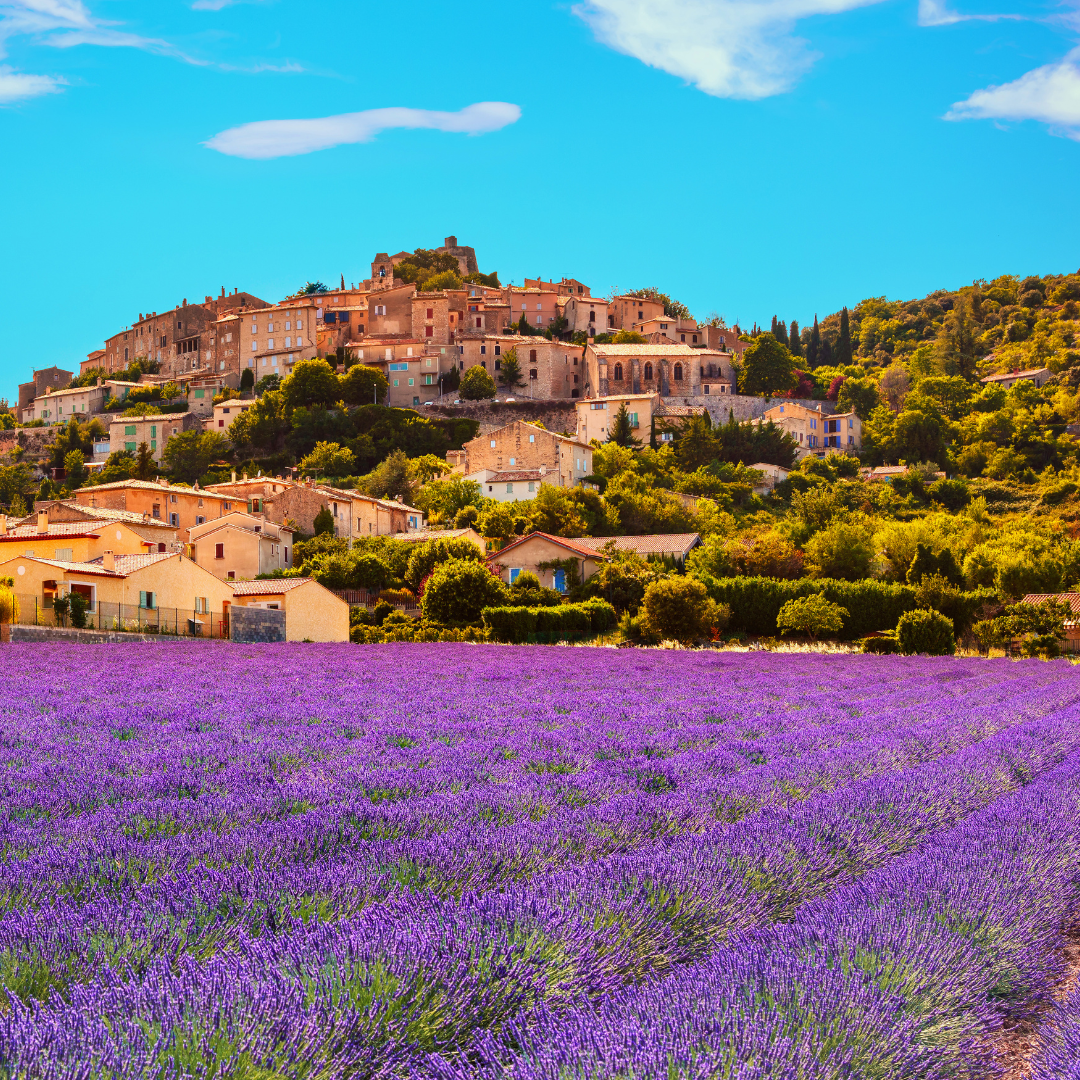 PROVENCE ita - galeria 1x1